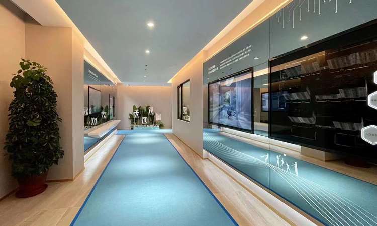 天成·观澜实景图