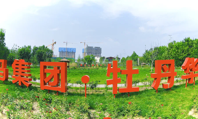 牡丹华都实景图