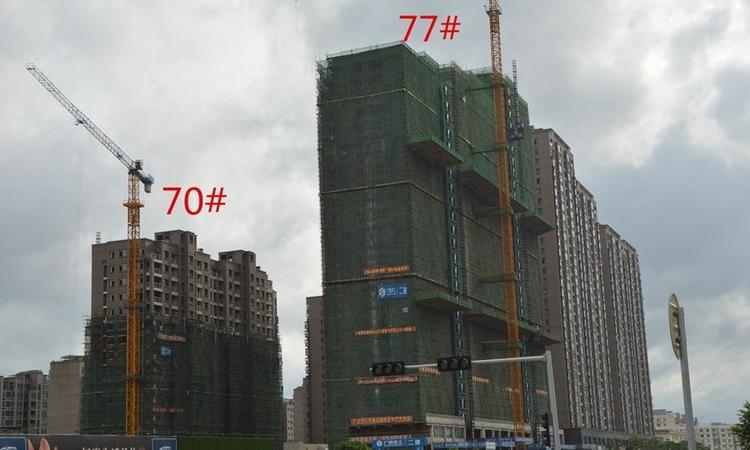 中强·普罗旺斯实景图