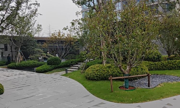 绿城凤鸣朝阳实景图