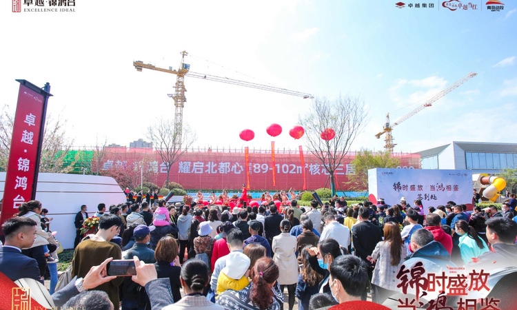 卓越锦鸿台实景图