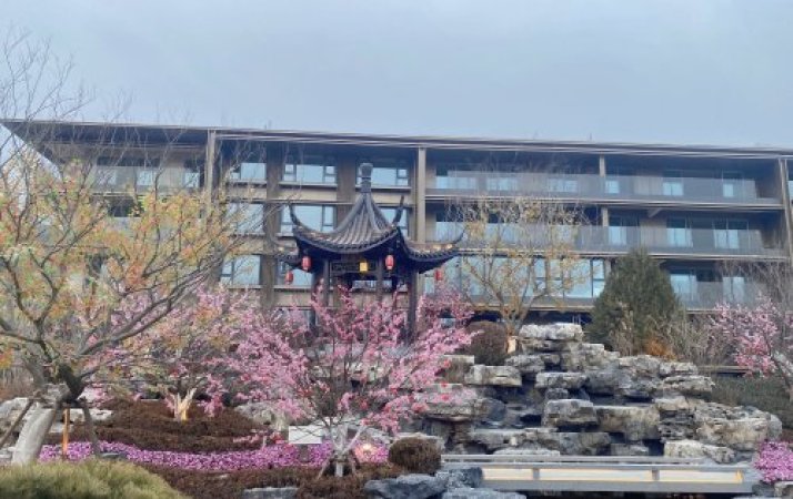 泰山龙胤实景图