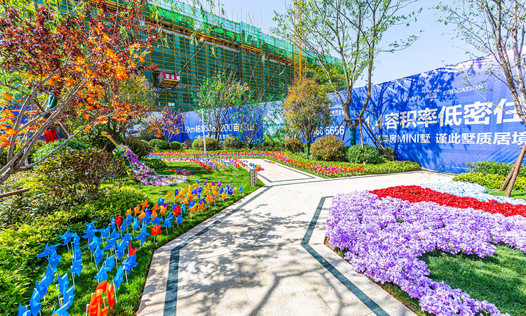 新鸥鹏教育城实景图