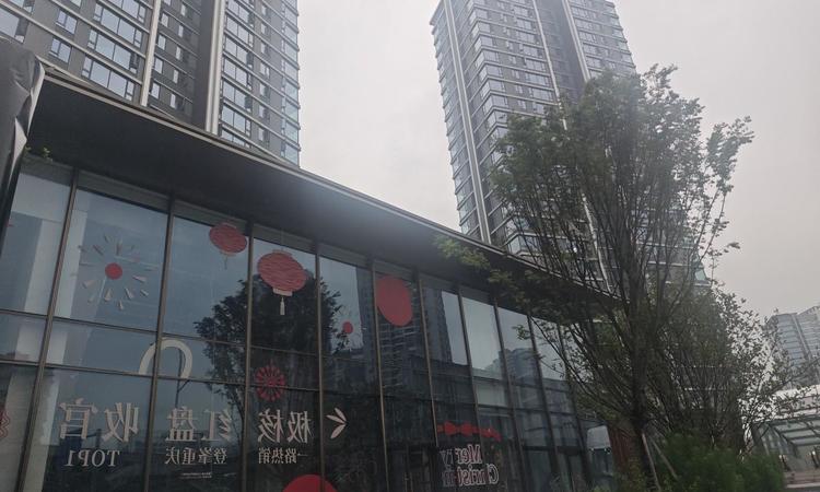 联发观音桥实景图