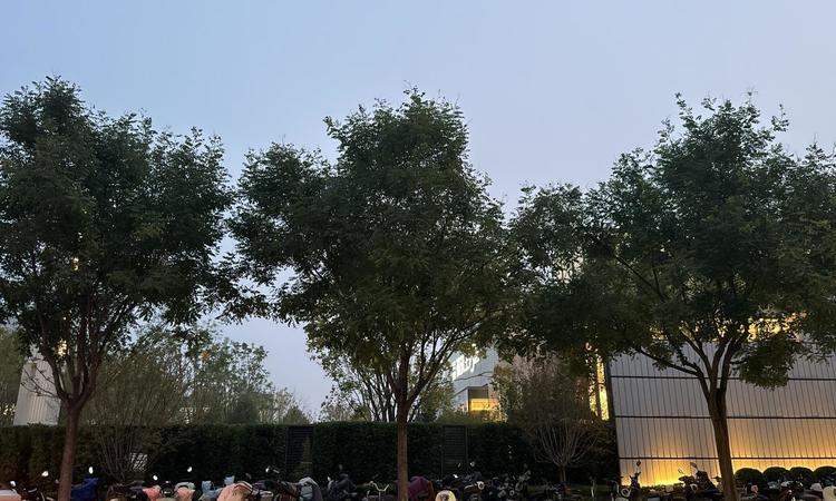 北京城建·和知筑实景图