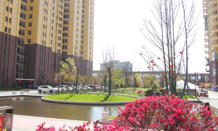 麻城金丰国际生态城实景图