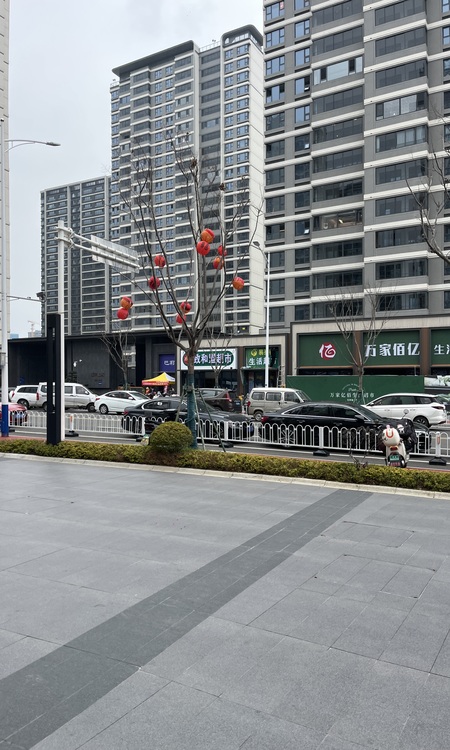 滨江龙湖翡翠上城实景图