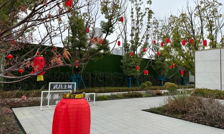 和雅东方实景图