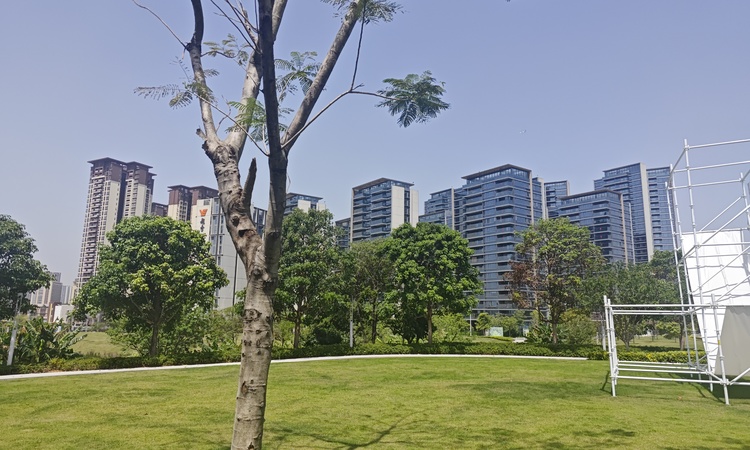 越秀·大学城·和樾府实景图