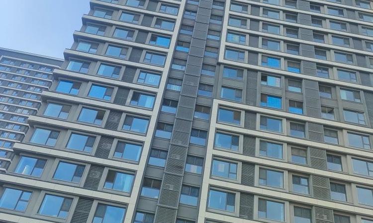 中海左岸源境实景图