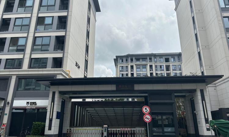 张江金茂府实景图