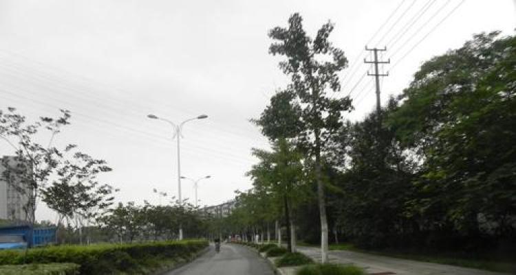 宜嘉湖庭花园实景图