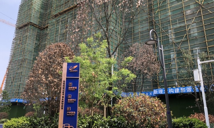 大悟碧桂园施工进度图