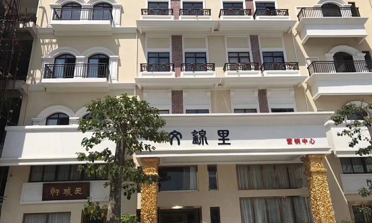 屯昌天成文锦里实景图
