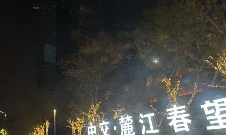 中交·麓江春望实景图