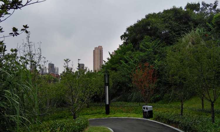 巴黎香颂周边配套图