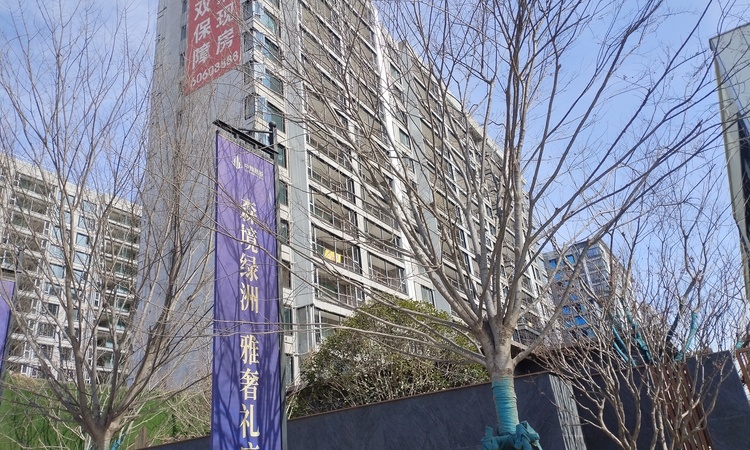 中豫·湖城印象施工进度图