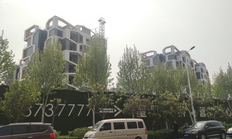 星联枫桥湾施工进度图