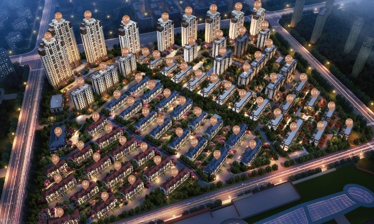 新华常春藤效果图