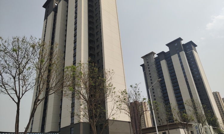 冠景上院施工进度图