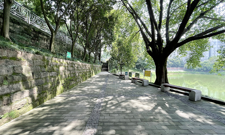 新山和悦周边配套图