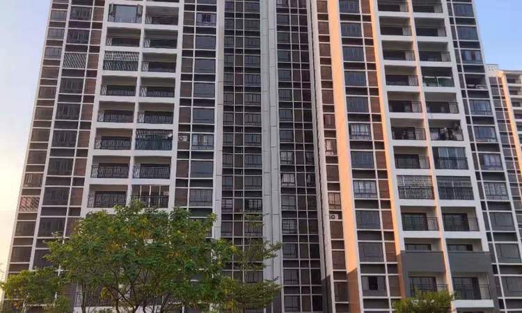 柳沙馨园实景图