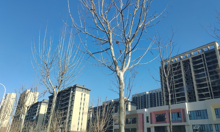 祥隆·理想云栖实景图