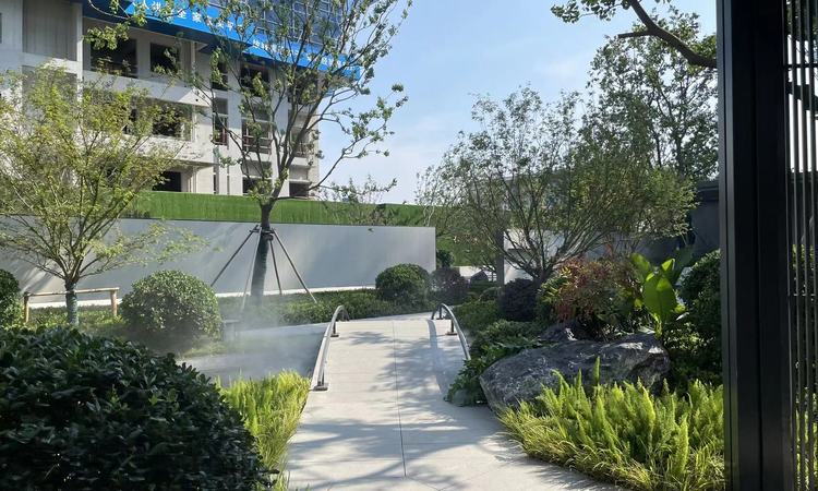 太泽之星实景图