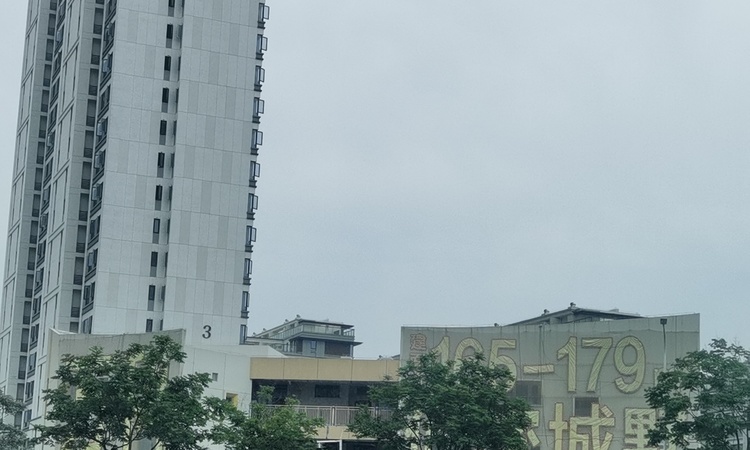 万科翠湖隐秀施工进度图