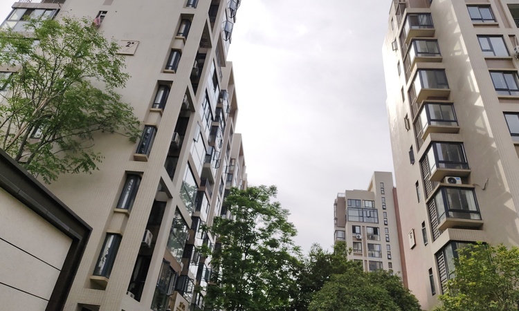 美联藏龙甲第施工进度图