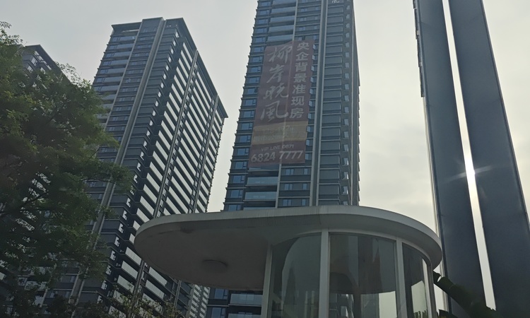 绿城&德润 柳岸晓风施工进度图