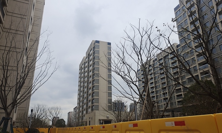 浦发上品施工进度图