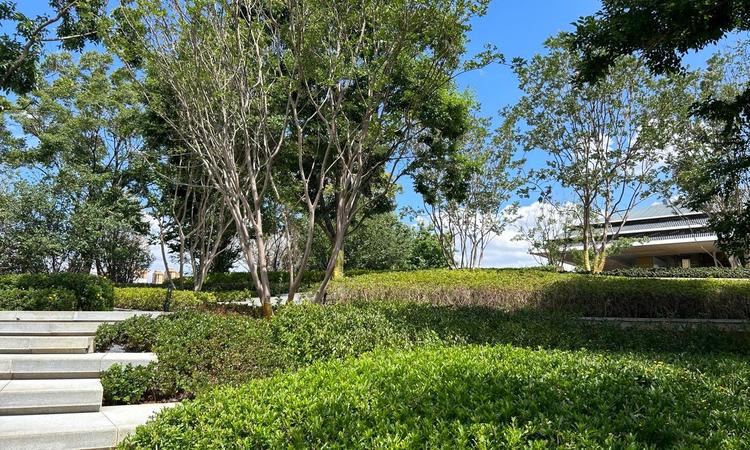 中国铁建山语桃源实景图