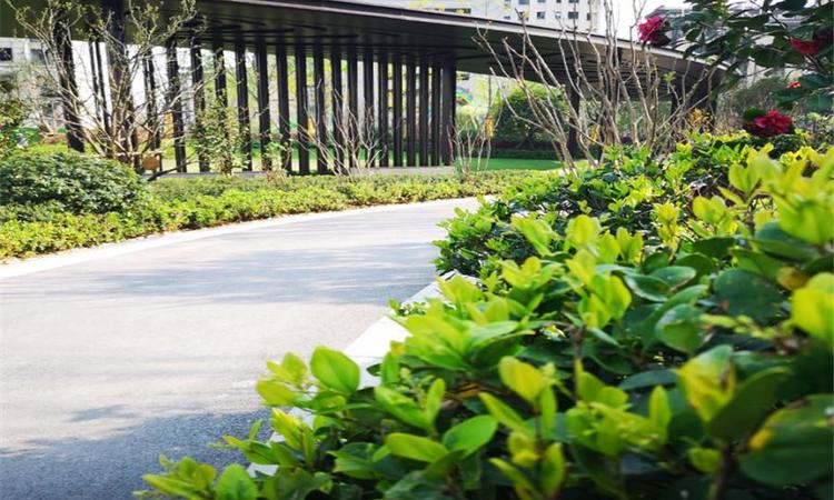保利荣盛合悦实景图