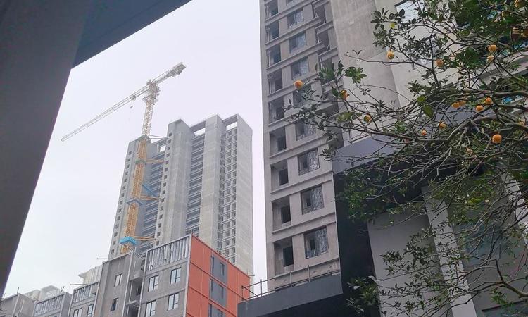 华侨城红坊|云岸样板间