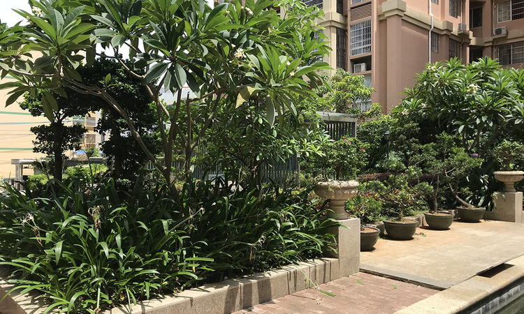 汇联海湾明珠实景图