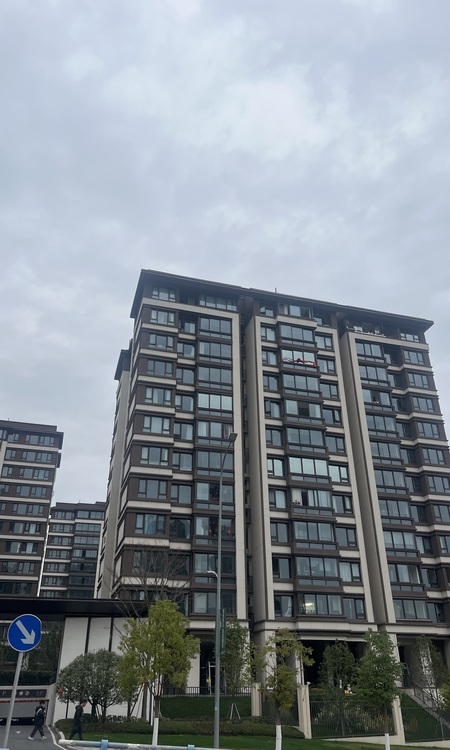 中绿江州实景图