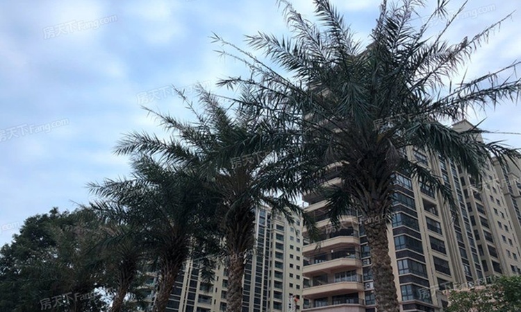 裕邦·新外滩实景图