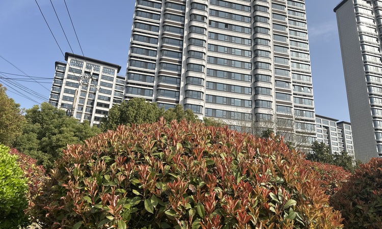 高科紫麟景院施工进度图
