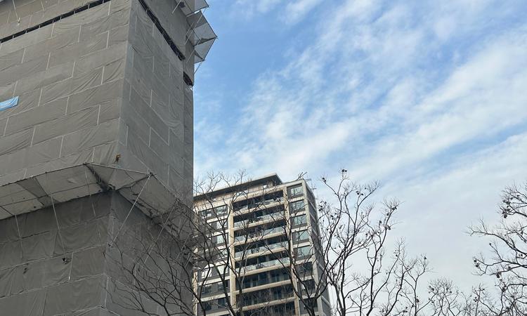 中环金茂府施工进度图