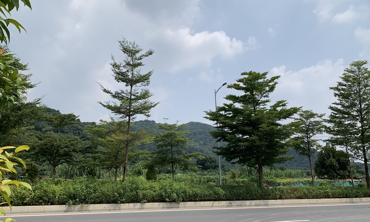 山水合悦周边配套图