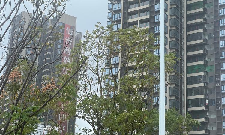 深业云筑2期实景图