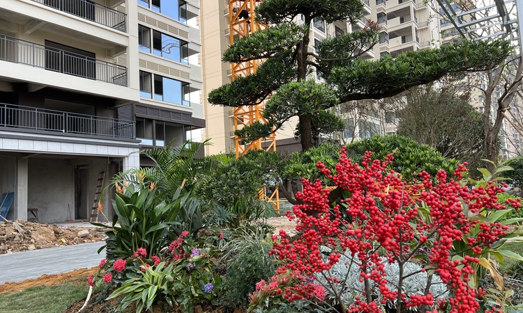 盛世誉府实景图