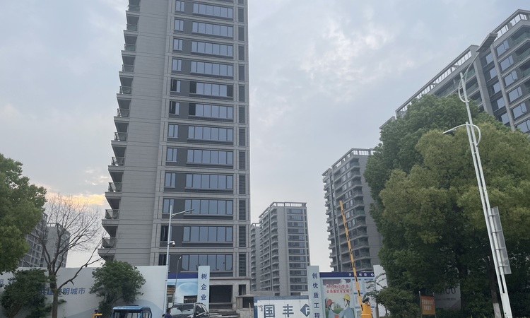 庞鑫沁耀府施工进度图