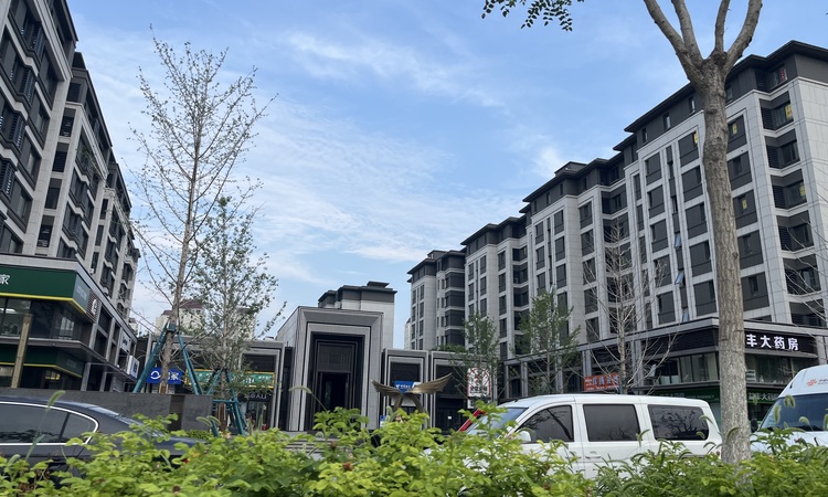 龙湖樘樾实景图