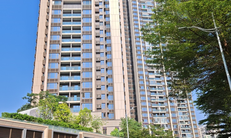 鸿荣源博誉府施工进度图