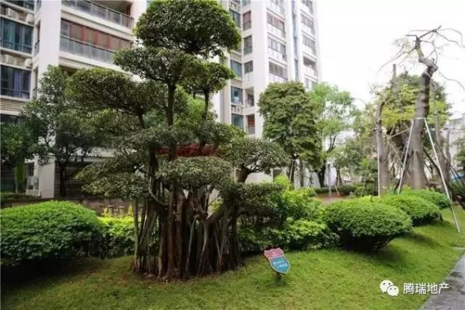 金域澜岸实景图