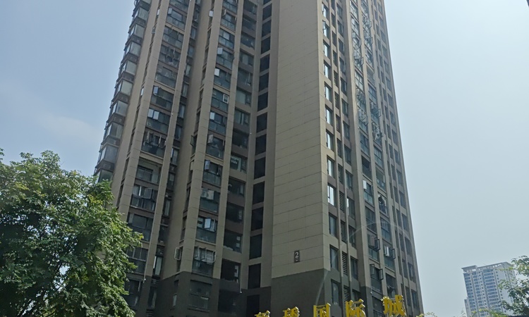 顶琇国际城·星耀施工进度图