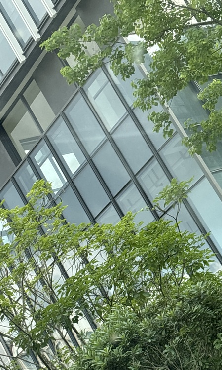 亚太·半山樾府实景图