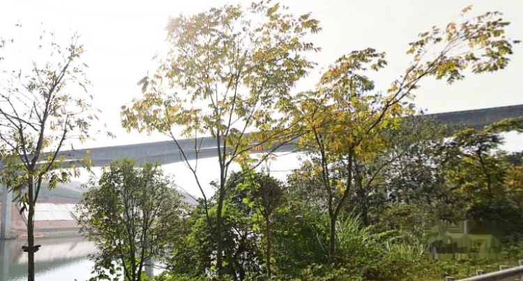 延州名郡·熙龙湾实景图